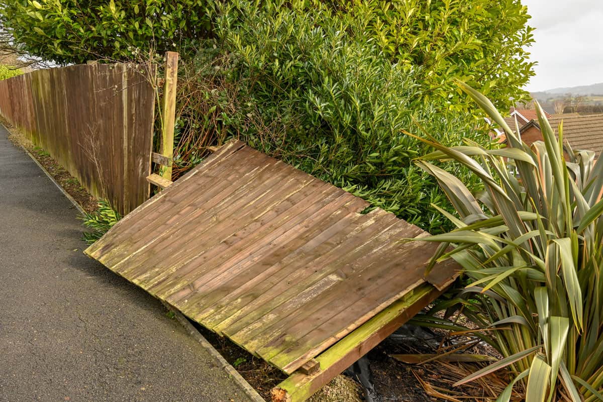 Fence Removals-West Palm Beach Junk and Trash Removal Group