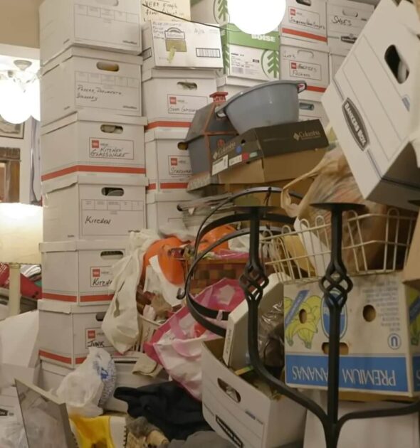 Hoarders Junk Removal-West Palm Beach Junk and Trash Removal Group