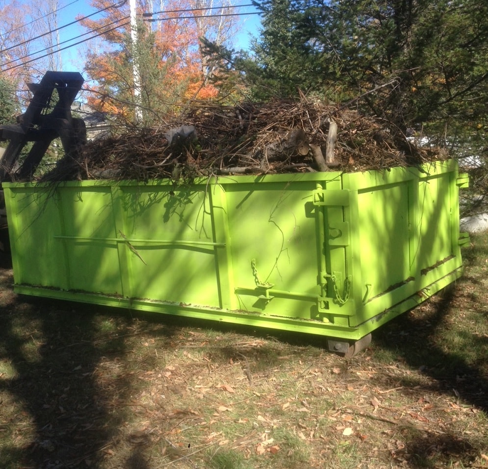Tree Removal Dumpster Services, West Palm Beach Junk and Trash Removal Group