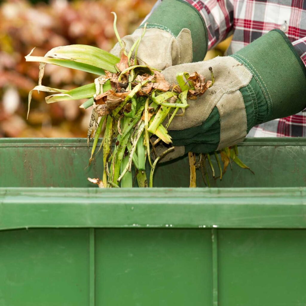 Yard Waste Dumpster Services, West Palm Beach Junk and Trash Removal Group