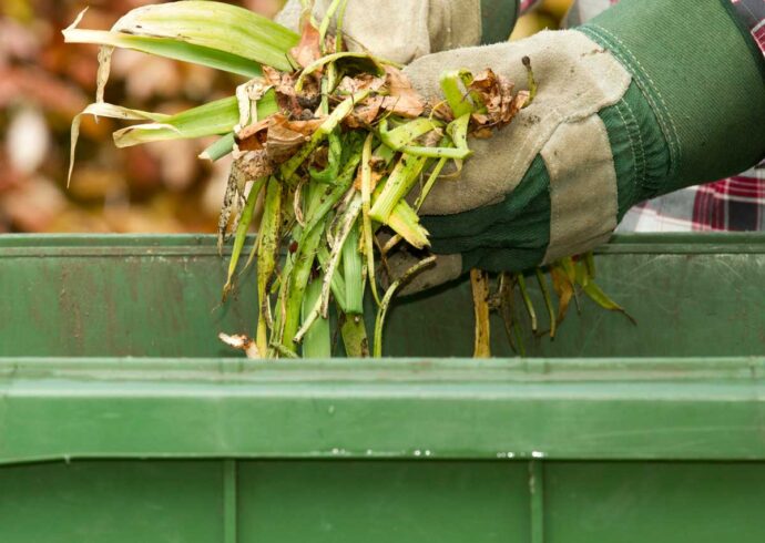 Yard Waste Dumpster Services, West Palm Beach Junk and Trash Removal Group